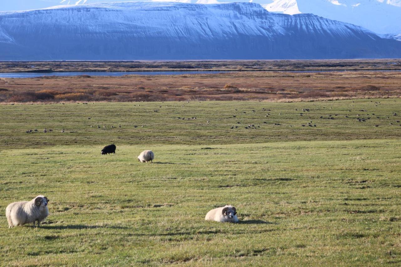 Laxhus Villa Húsavík Exteriör bild